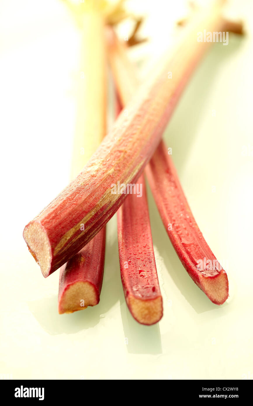 Rhubarb Stalks Stock Photo