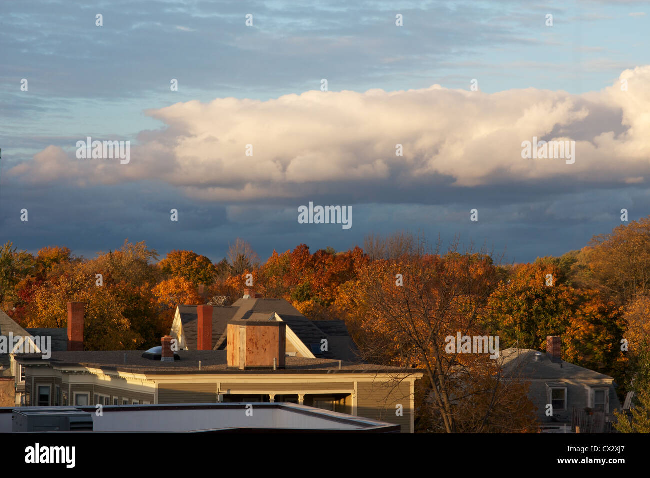 View over the colorful Fall trees of Cambridge, MA, USA. Stock Photo