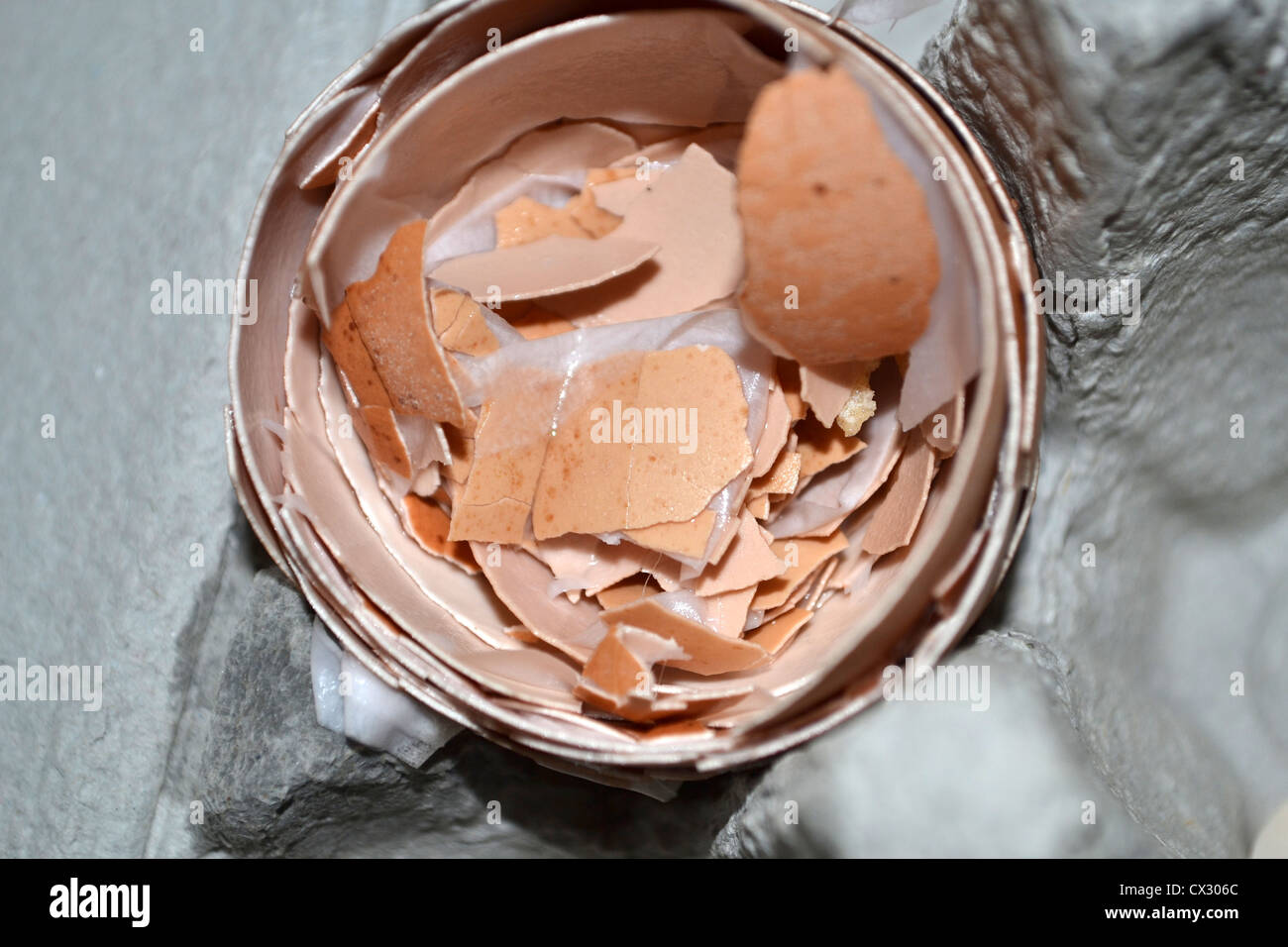 several egg shells crammed into one in egg carton Stock Photo