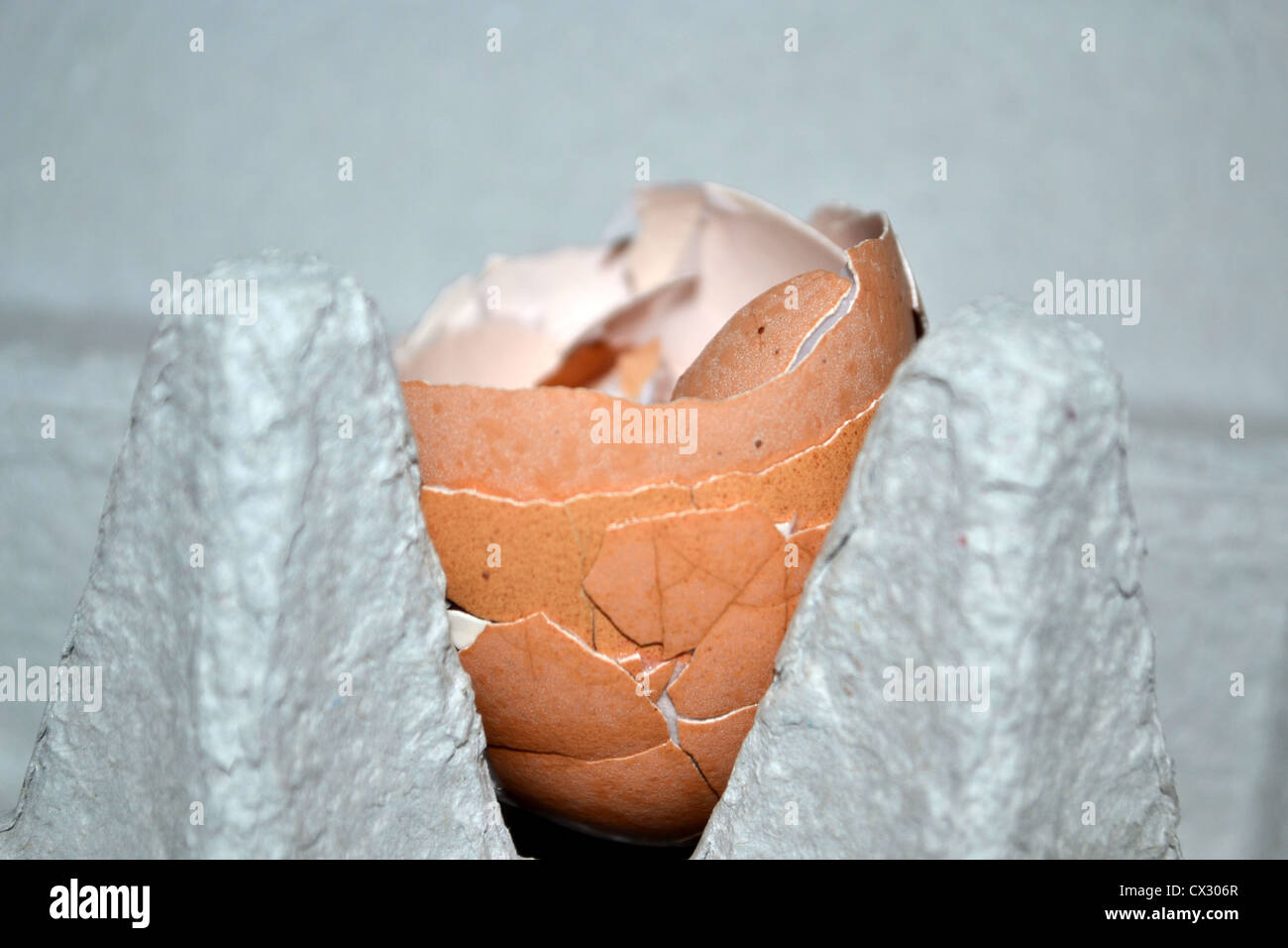 several egg shells crammed into one in egg carton Stock Photo