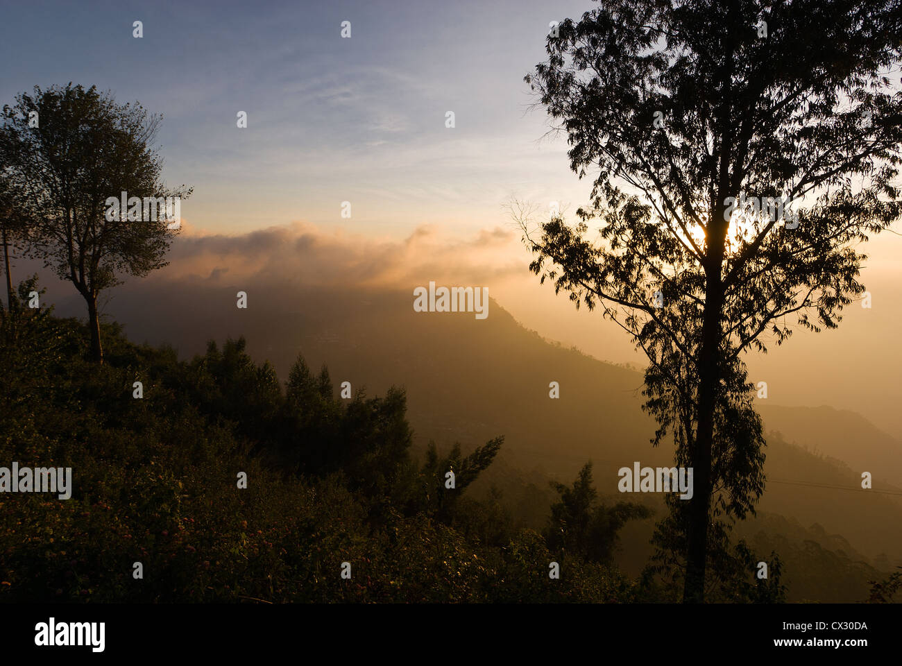 Tamil nadu india landscape hi-res stock photography and images - Alamy