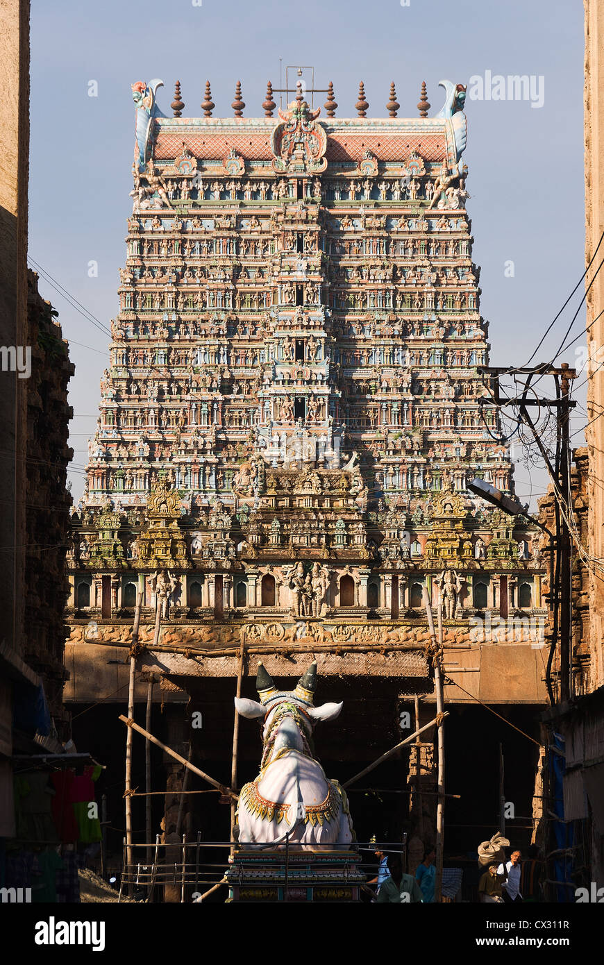 Elk201-5117 India, Tamil Nadu, Madurai, Sri Meenakshi Temple, Nandi statue Stock Photo