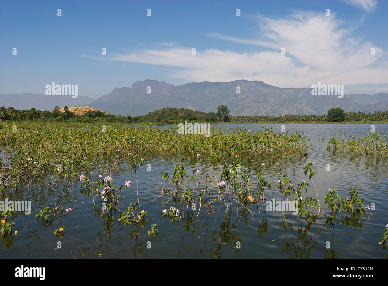 Tamil nadu india landscape hi-res stock photography and images - Alamy