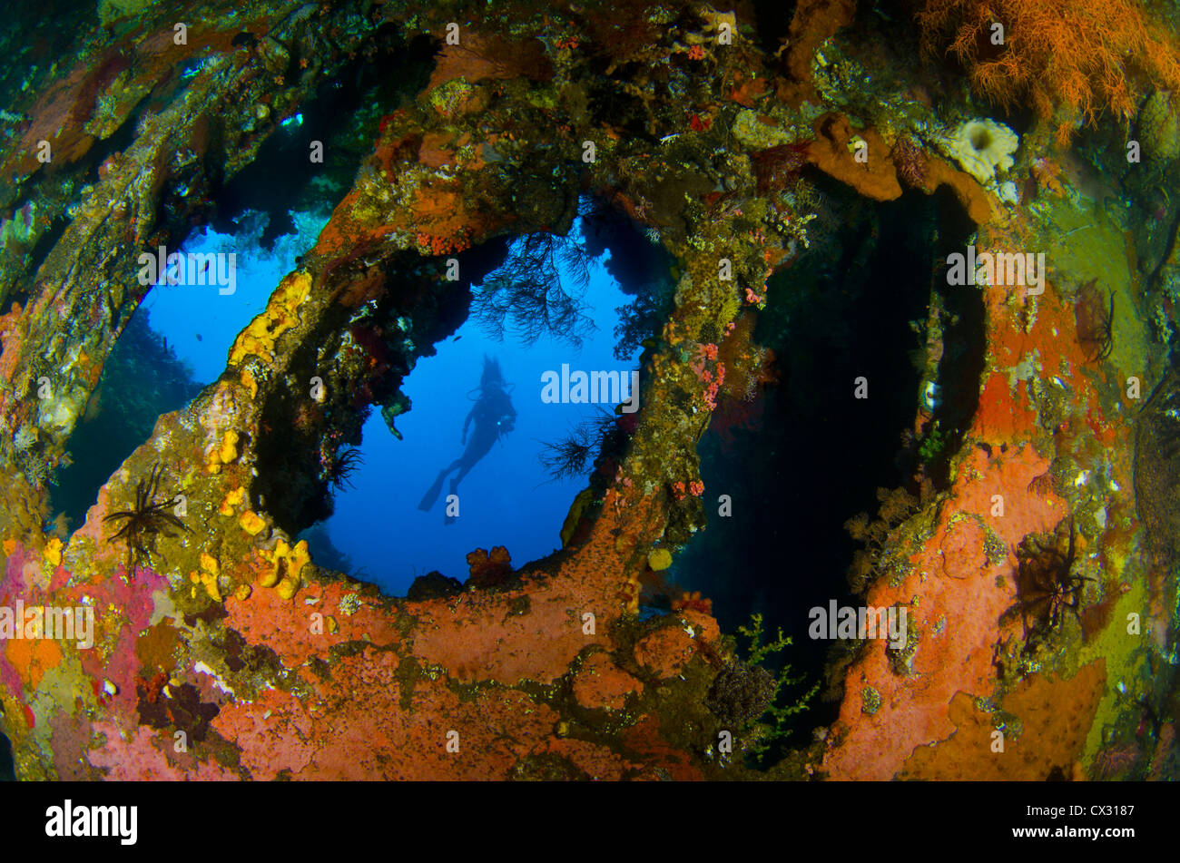 Underwater sea life, Bali Indonesia, scuba, diving, diver, female diver, silhouette, wreck, water, blue water, ocean, sea. Stock Photo