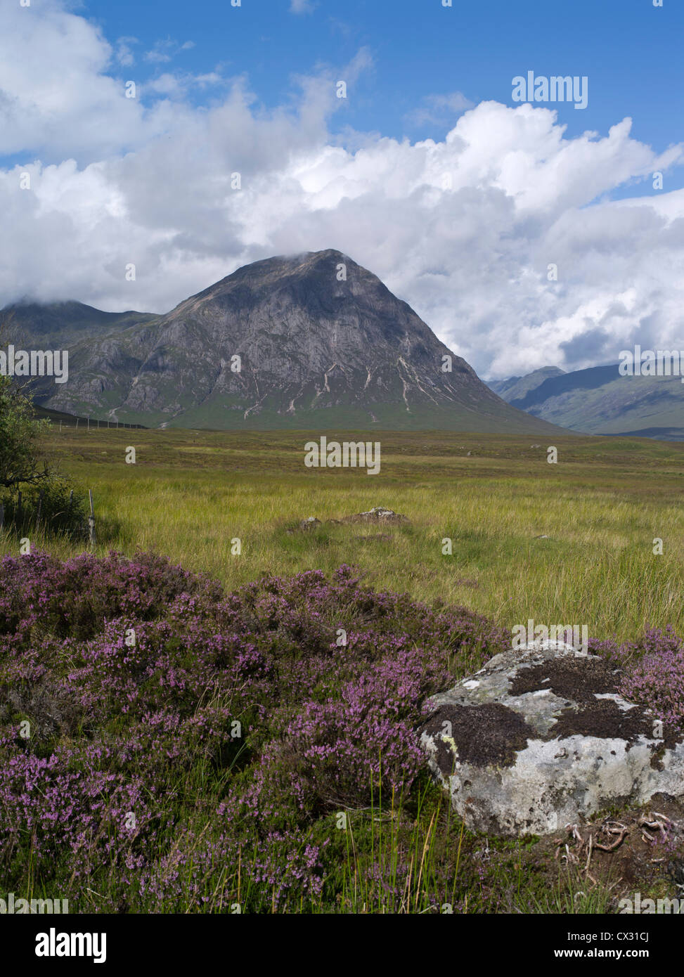dh Rannoch Moor mountain GLEN COE ARGYLL Scottish Highland Glencoe scotland highlands purple heather stob dearg mountains Stock Photo