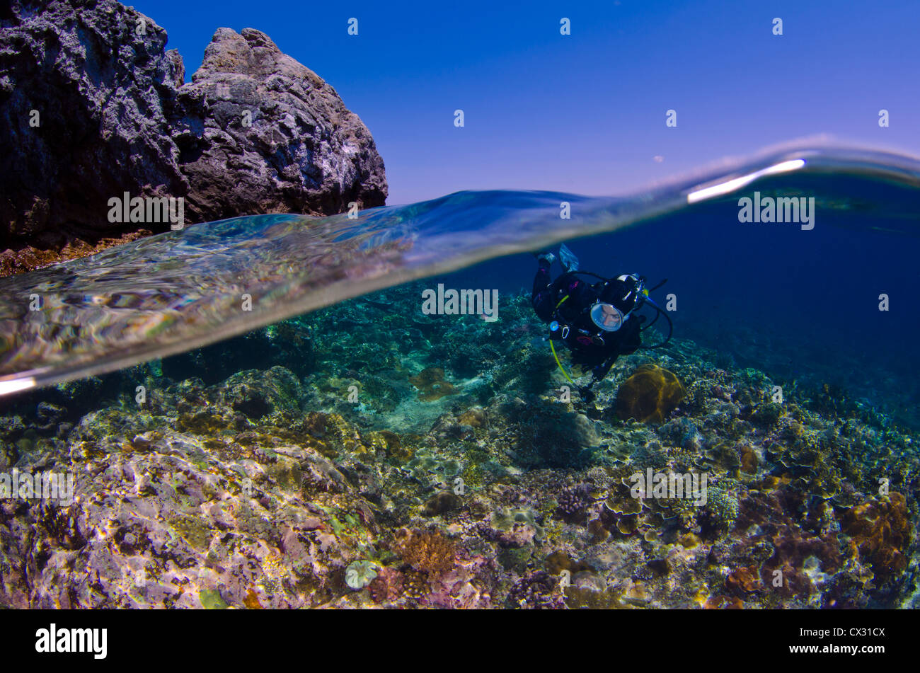 Underwater sea life, Komodo, Indonesia, scuba, diving, diver, female