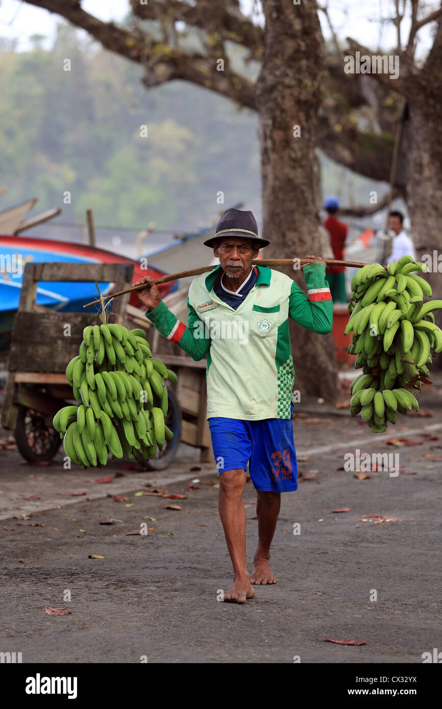 Old man carrying green bananas in Batu Karas in West Java Stock Photo ...