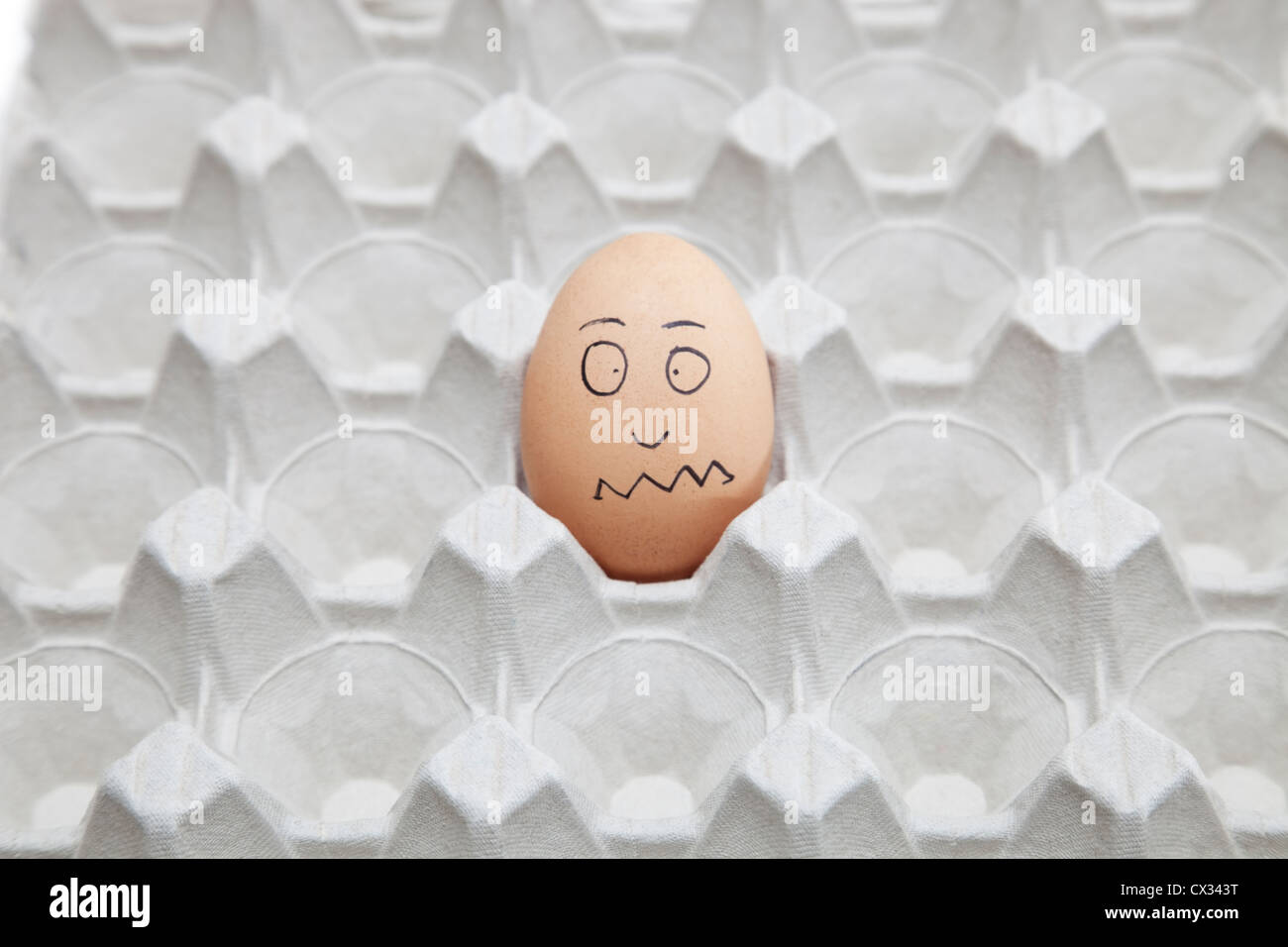 Anthropomorphic brown egg in empty carton Stock Photo