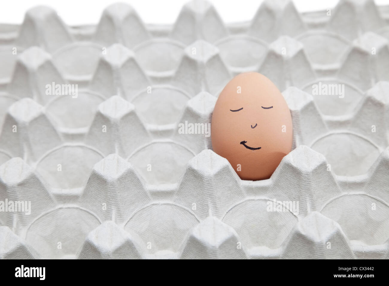 Anthropomorphic face drawn on brown egg in empty carton Stock Photo