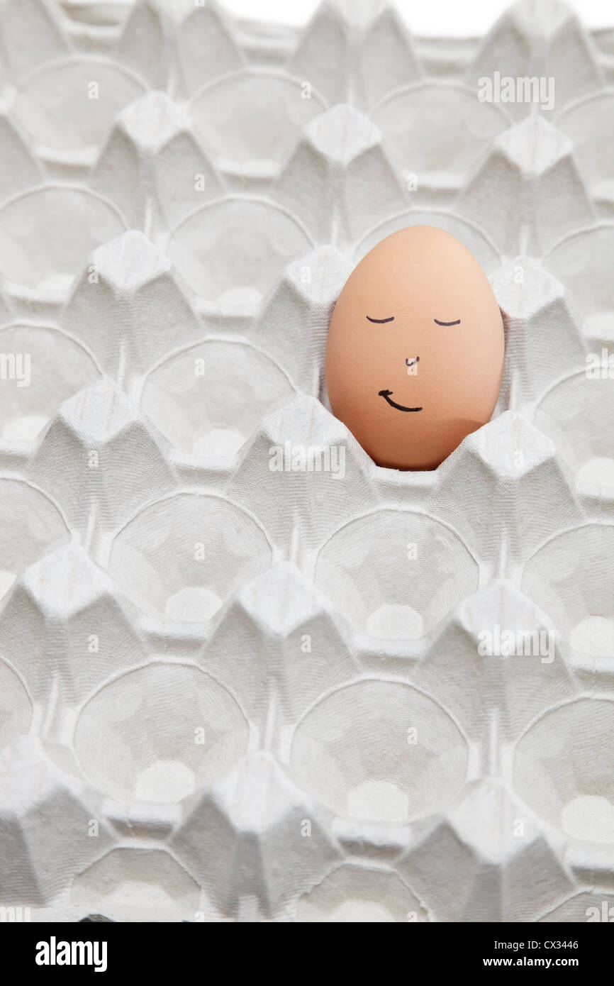 Funny face drawn on brown egg in empty carton Stock Photo
