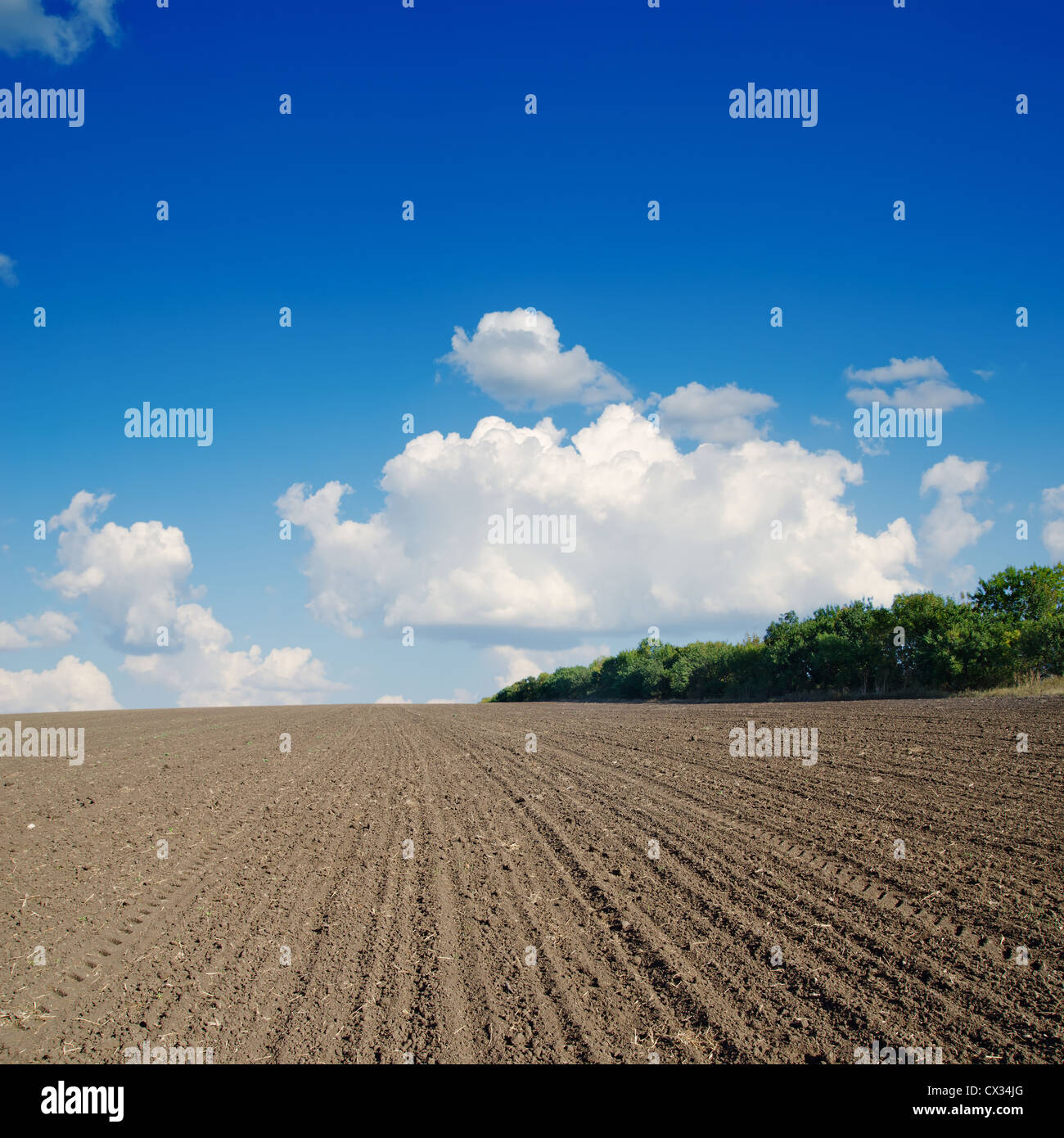 black ploughed field under blue sky Stock Photo - Alamy