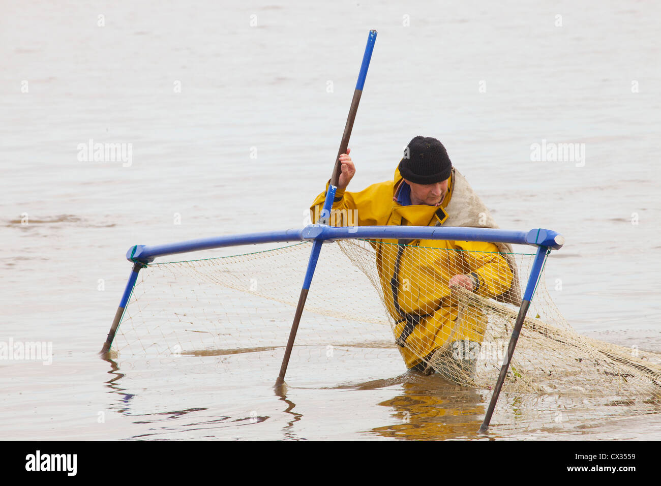 Haaf Net Fisherman fishing for Salmon & Sea Trout in the River Eden Channel near Port Carlisle