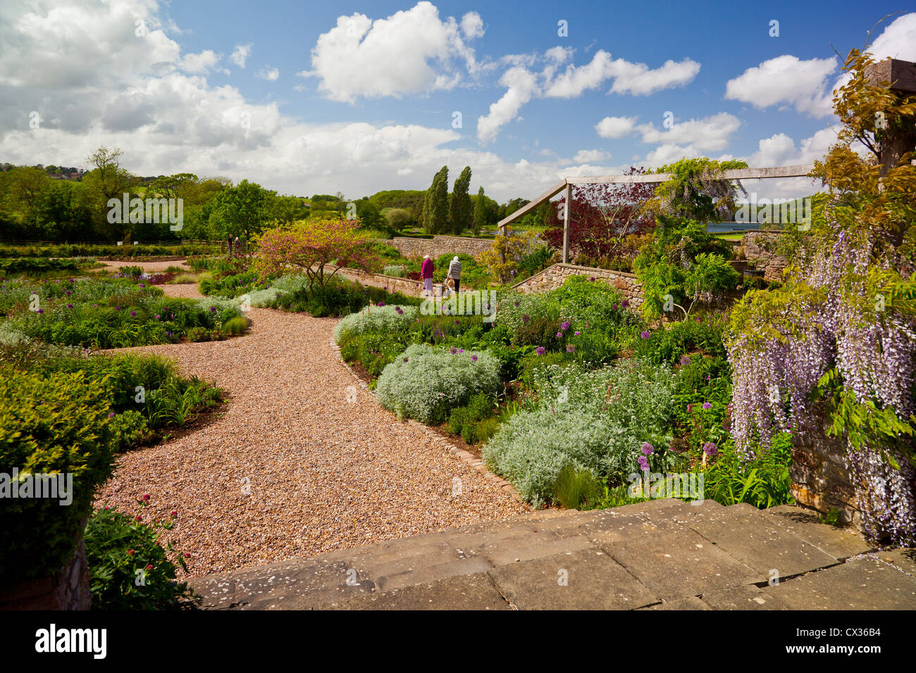 The Gravel Garden at Holt Farm Organic Garden, Blagdon, North Somerset
