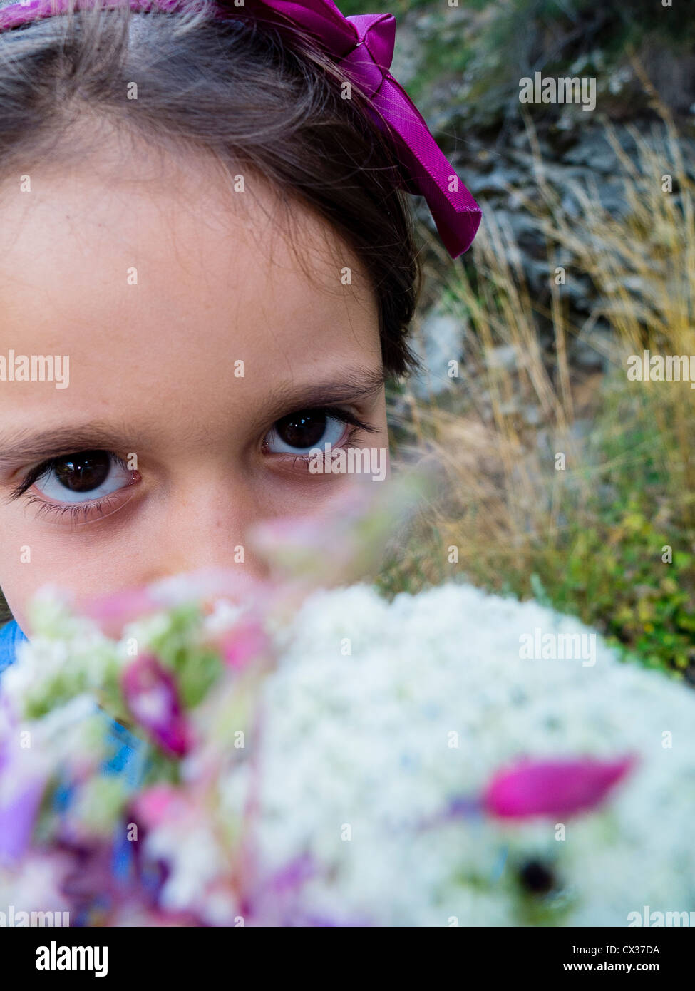 girl with flowers mountain Peucedanum ostruthium, high Valtellina, Bormio, Lombardy, Italy Stock Photo