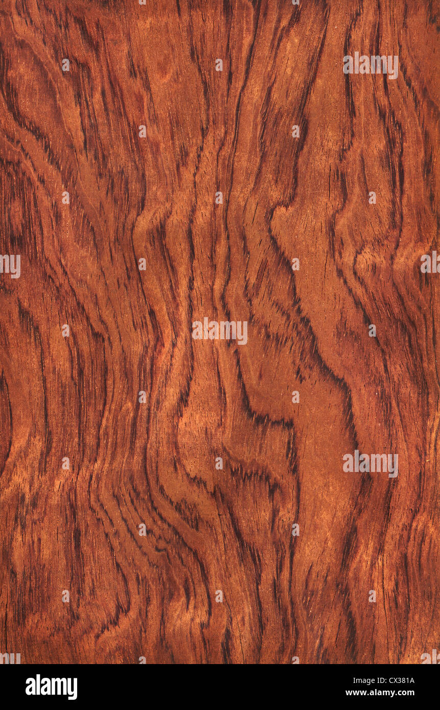 Texture of guibourtia (high-detailed wood texture series) Stock Photo