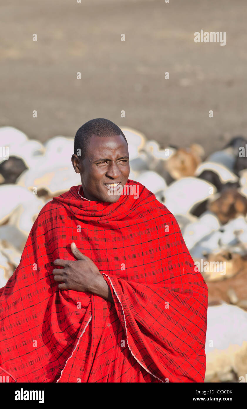 Arusha Tanzania Africa safari Masai men herder of goats leading flock to home village Maasai Stock Photo