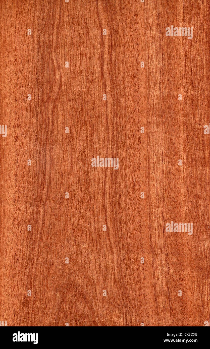 Texture of sapele (high-detailed wood texture series Stock Photo - Alamy