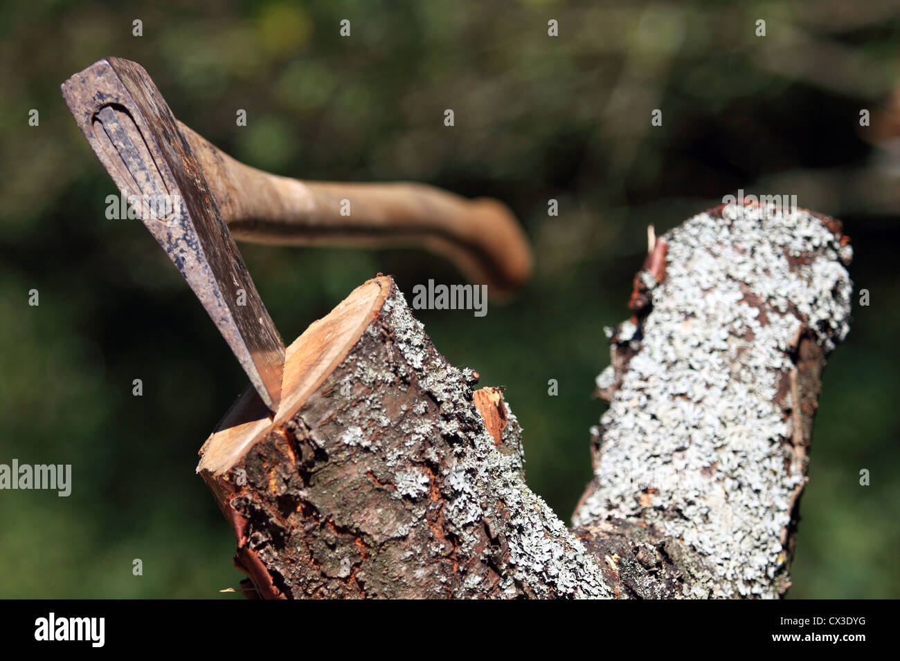 как срубить дерево дота 2 фото 12