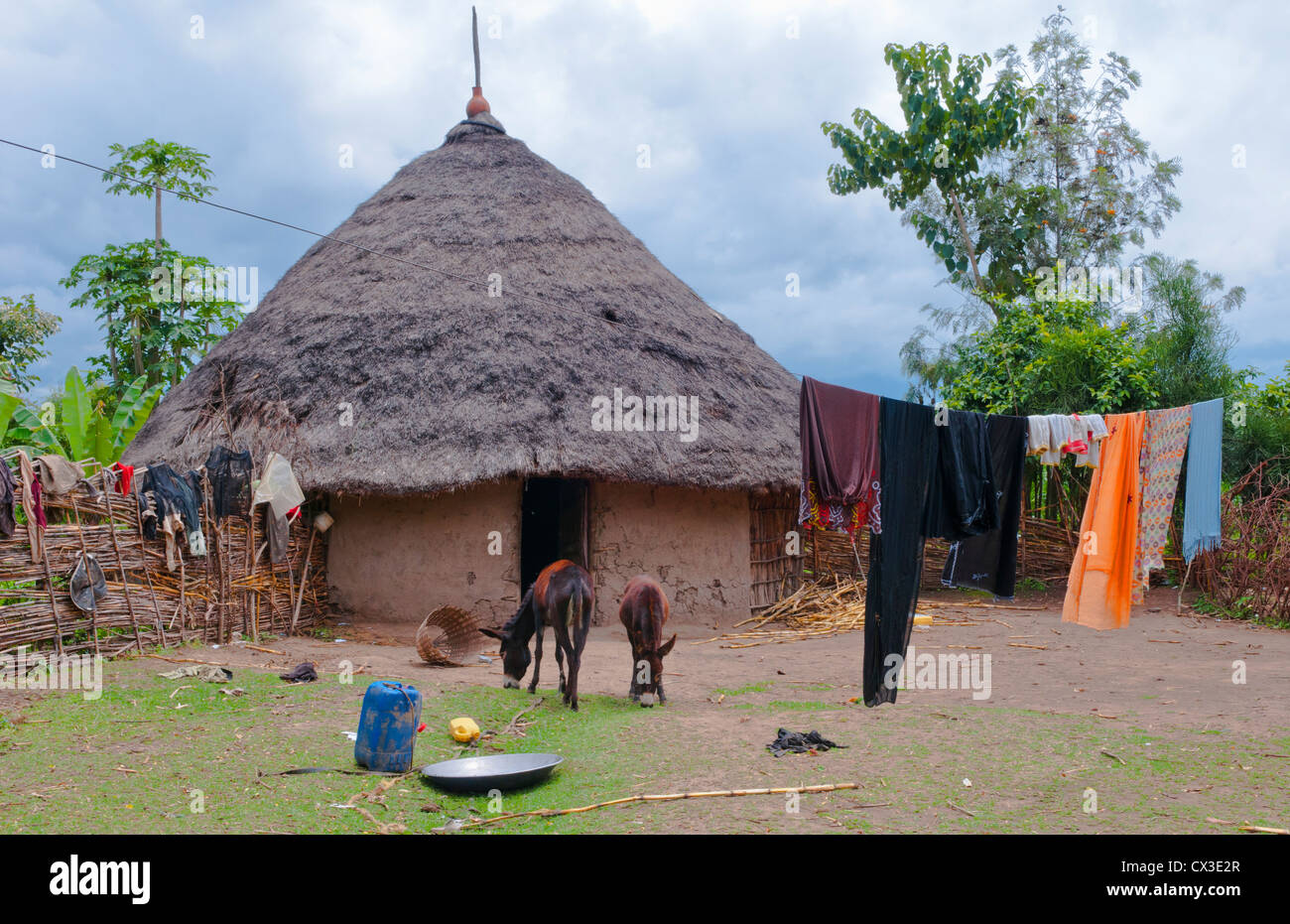 Shashemene Ethiopia Africa Alaba tribe home with animals and yard for