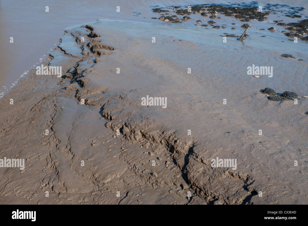 Mud silt deposited currents low hi-res stock photography and images - Alamy