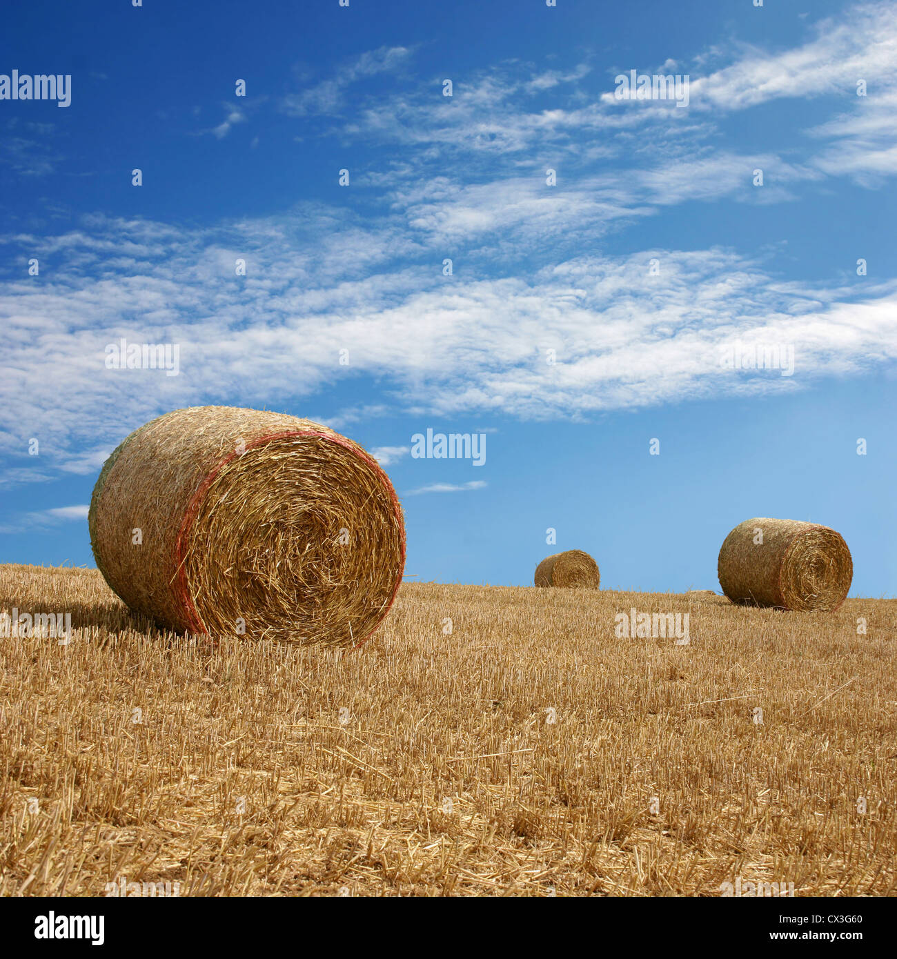 Straw Bales on Farmland with blue Sky Stock Photo - Alamy