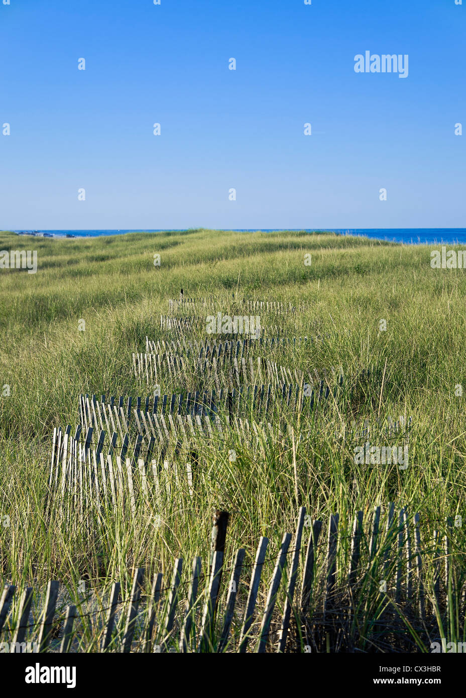 Dune fence helps protect from dune erosion Stock Photo