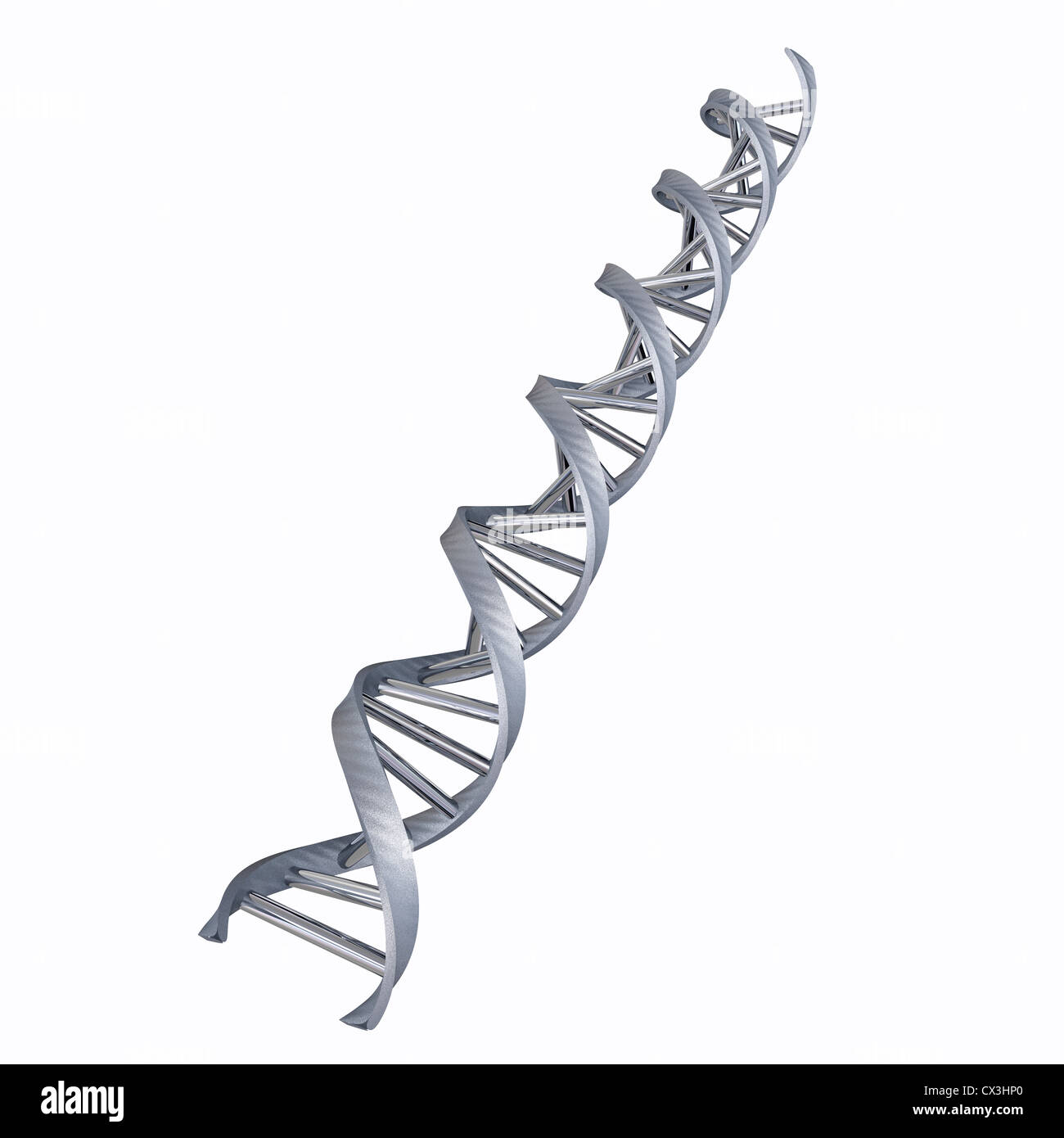 Alpha Doppelhelix DNS auf weissem Hintergrund - DNA HELIX with Nucleobase Stock Photo