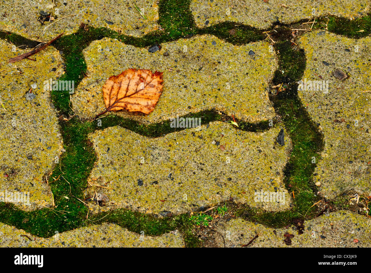 Interlocking flagstones hi-res stock photography and images - Alamy