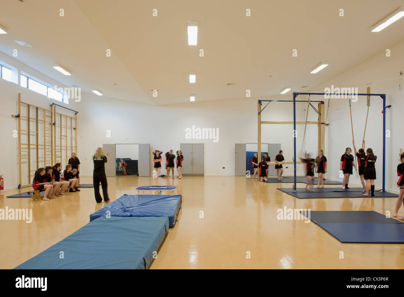 Trinity School Sports Hall, Newbury, United Kingdom. Architect: ADP Architects Ltd, 2012. Interior view of gym. Stock Photo