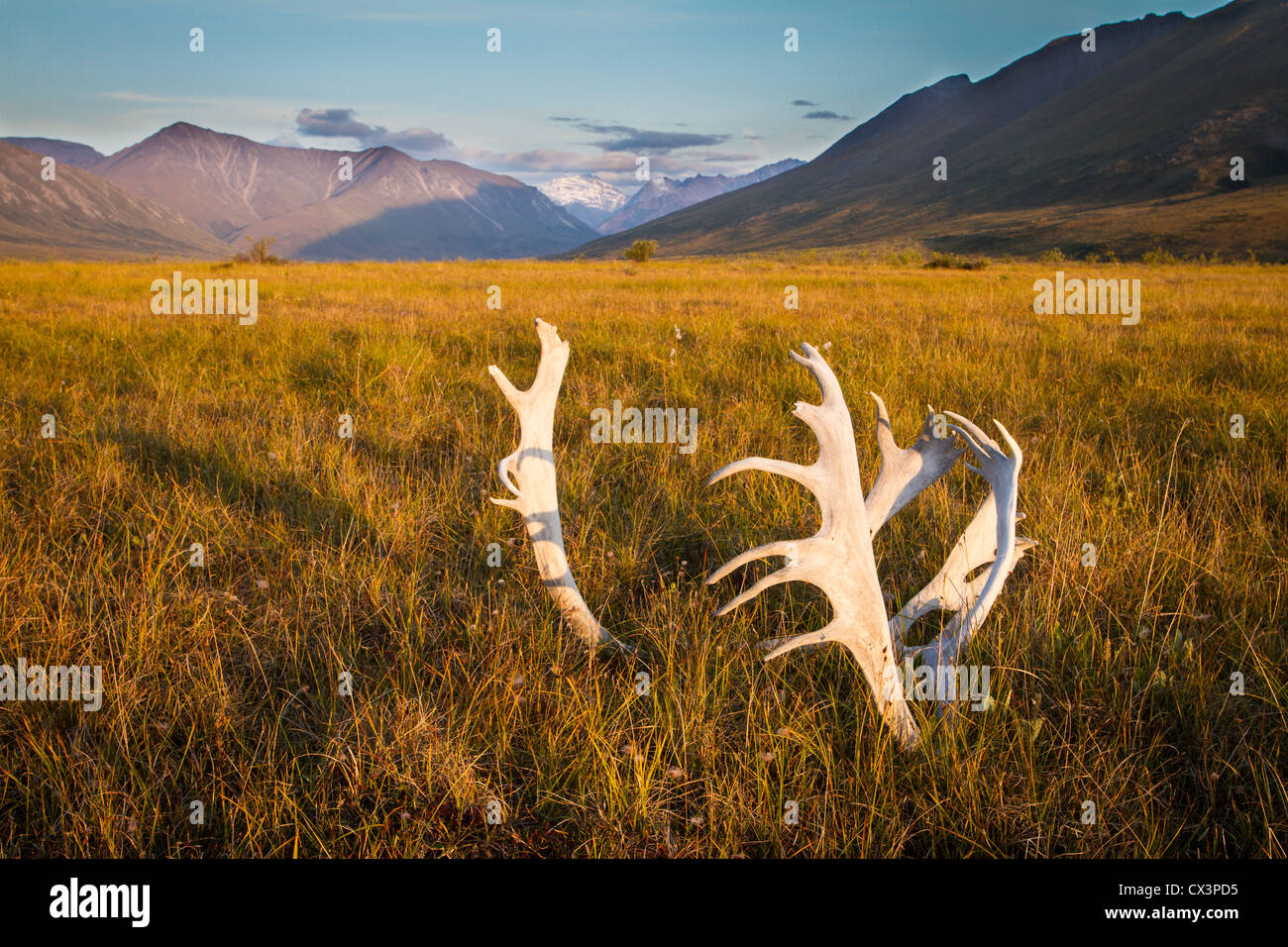 Caribou Skin Clothing - Gates Of The Arctic National Park
