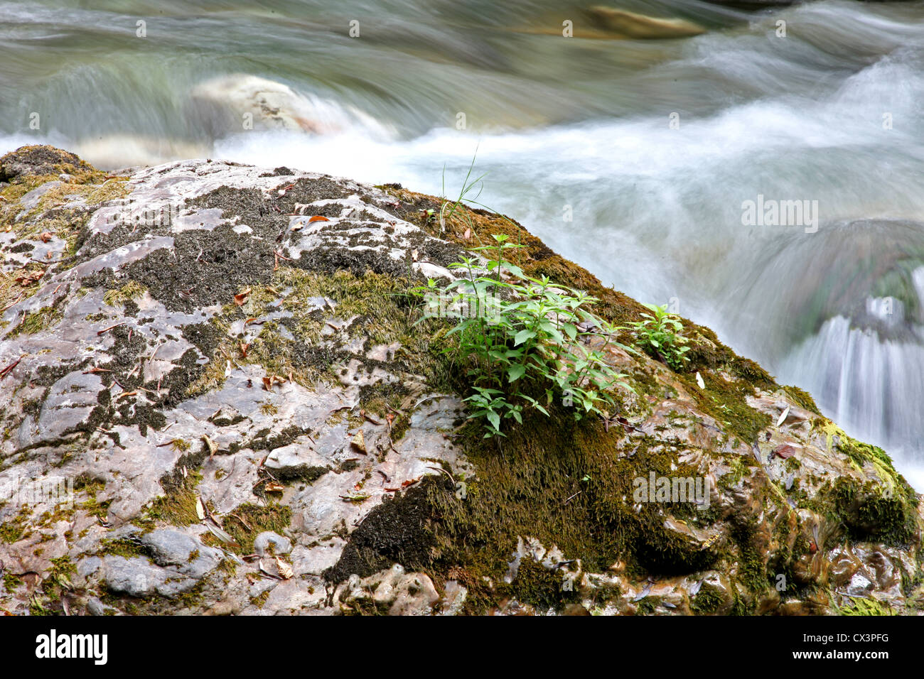 Crni Drim River in Macedonia Stock Photo - Alamy
