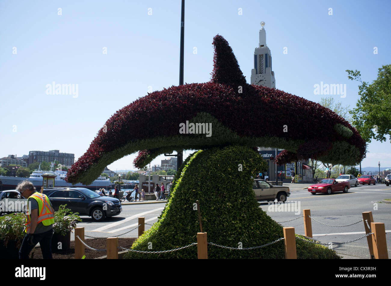 Topiary in the shape of a dolphin, Victoria, Vancouver Island, Canada Stock Photo