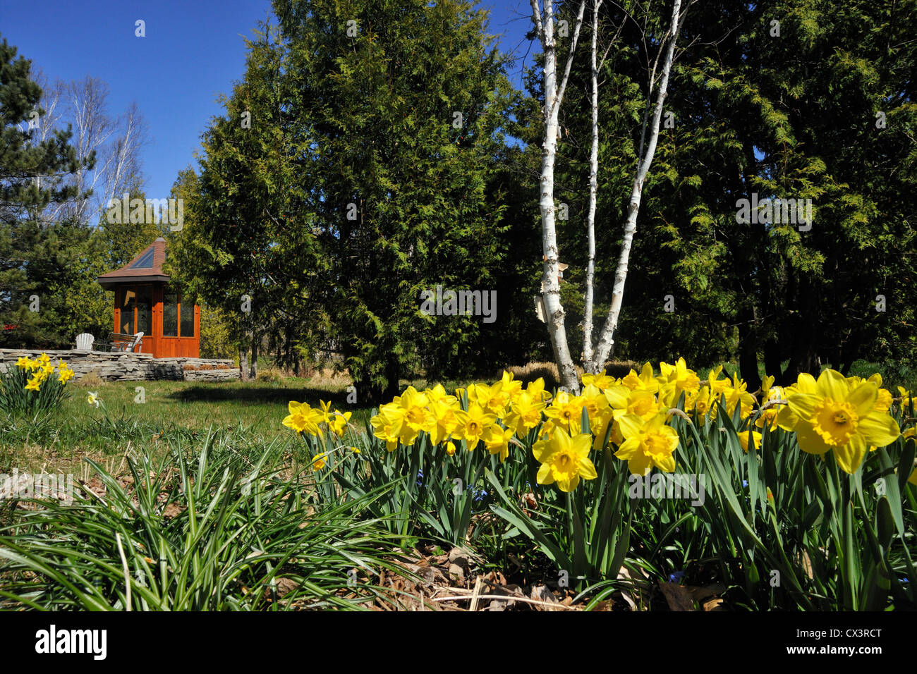 Early dwellings hires stock photography and images Alamy