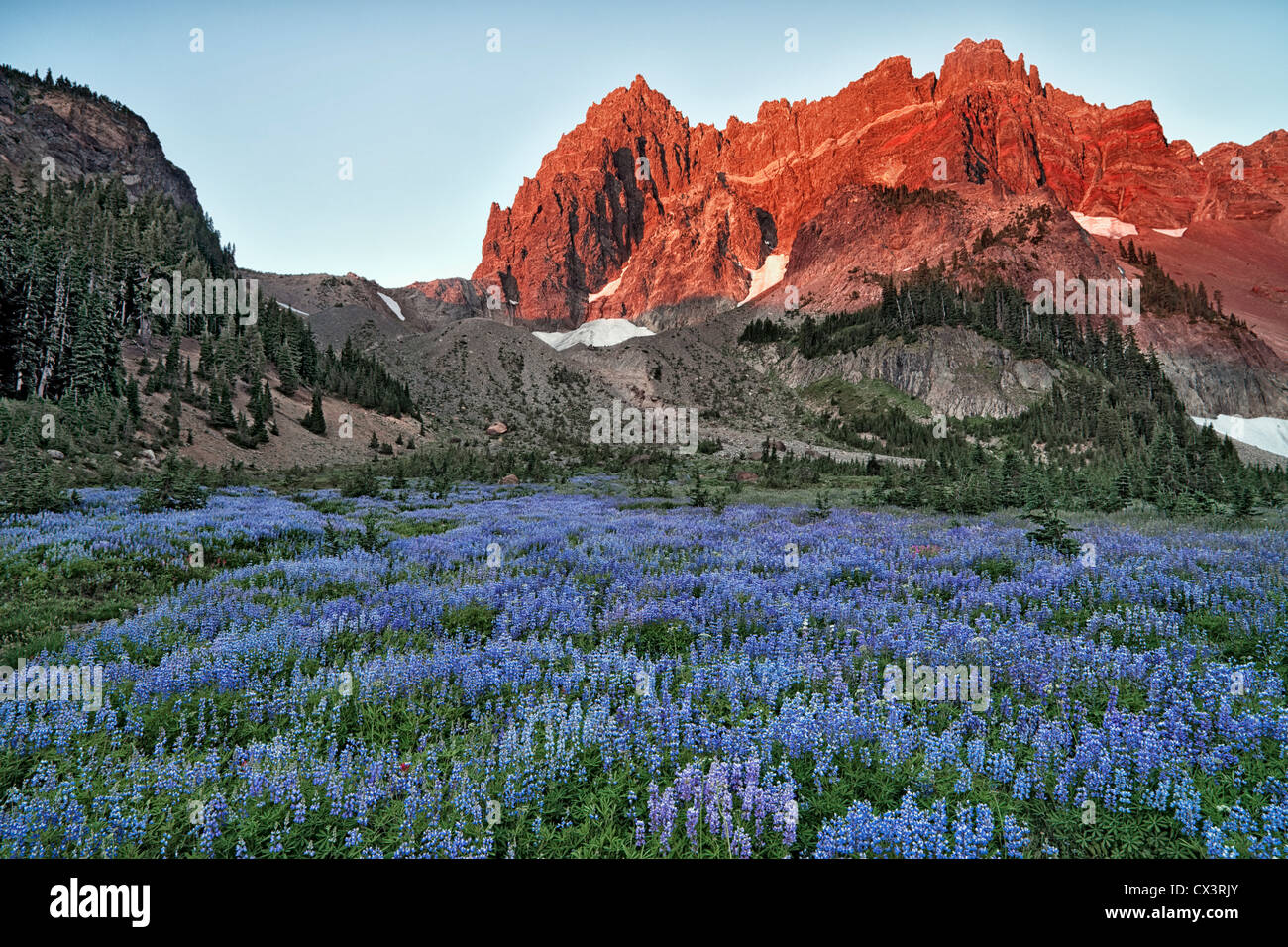 Mountains meadows in bloom hires stock photography and images Alamy
