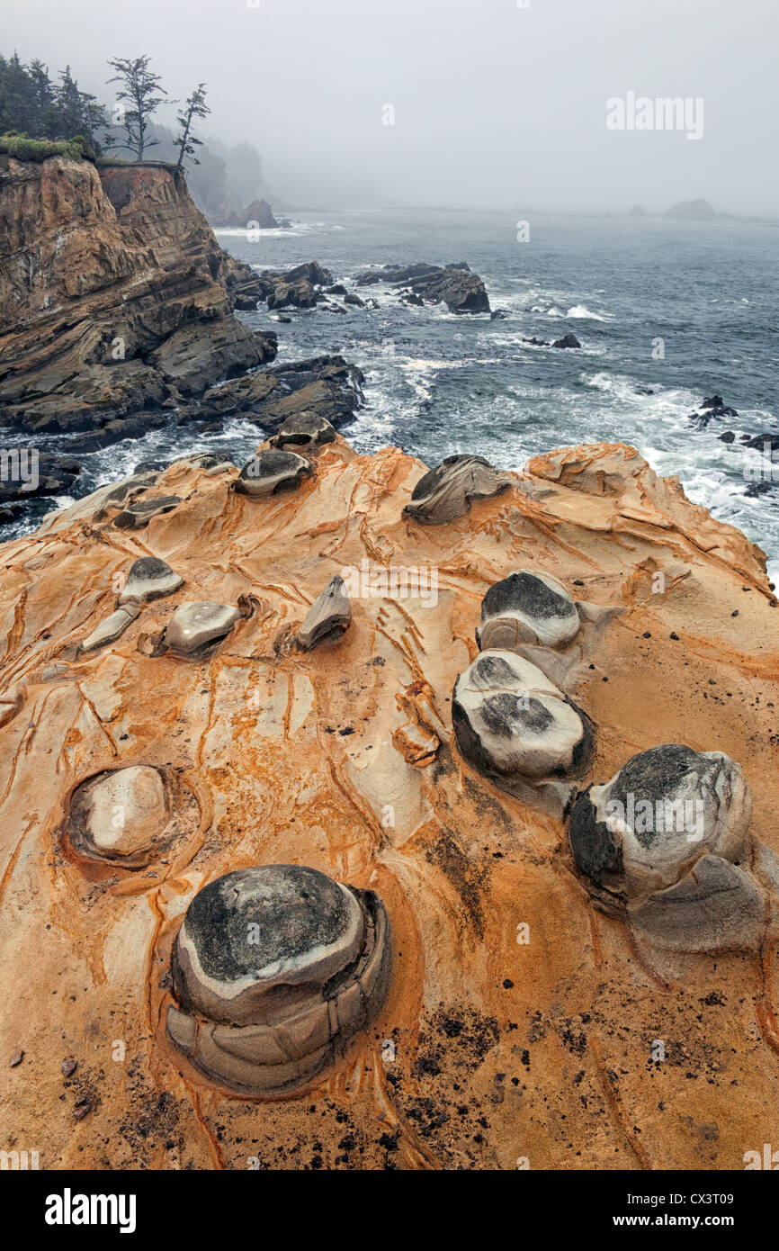 Lifting fog reveals wind and wave sculptured sandstone formations among the cliffs at Oregon’s Shore Acres State Park. Stock Photo