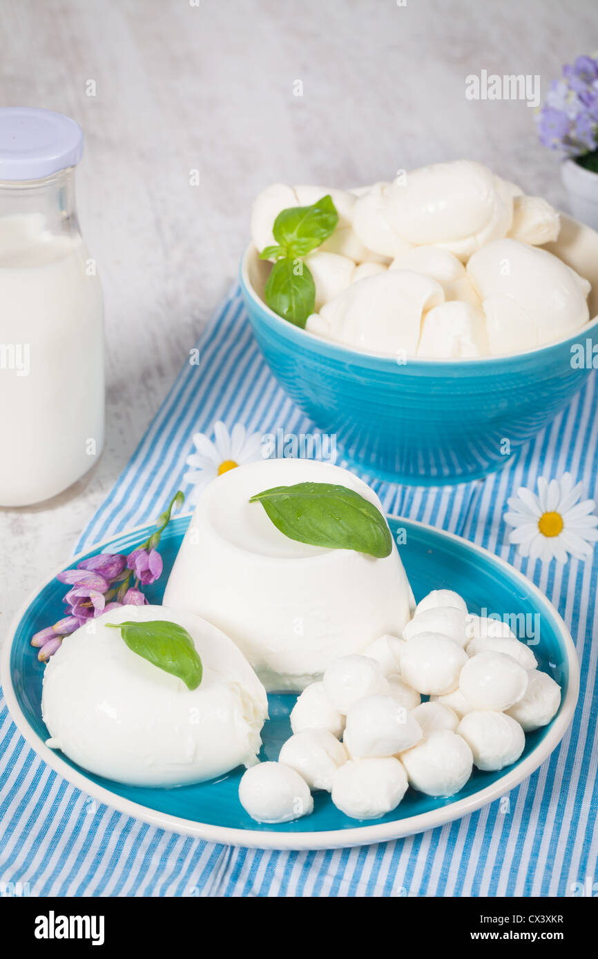 Dish of typical italian mozzarella cheese made of fresh milk Stock