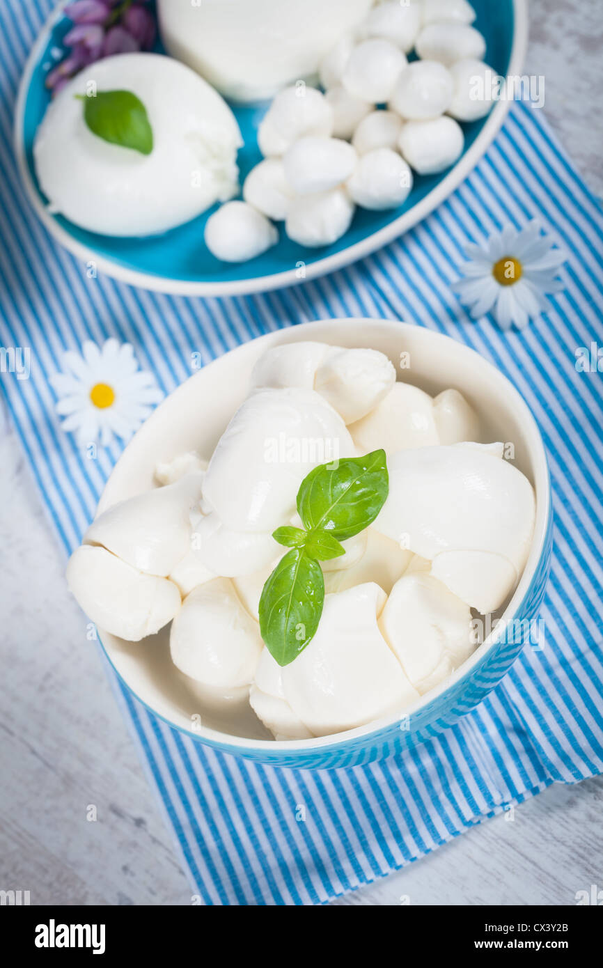 Dish of typical italian mozzarella cheese made of fresh milk Stock