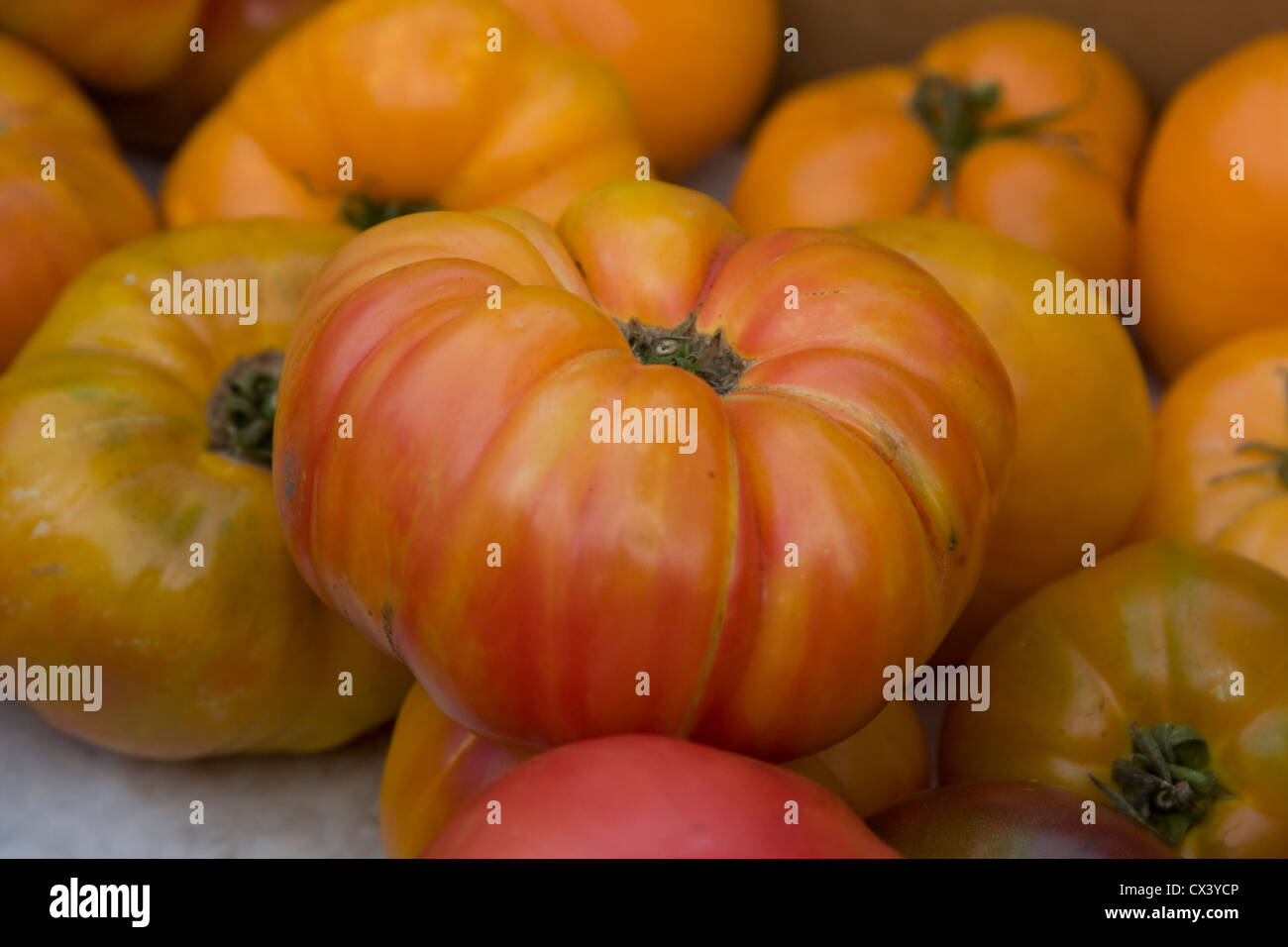 Heirloom tomatoes for sale at the Monterey Farmers Market Stock Photo ...