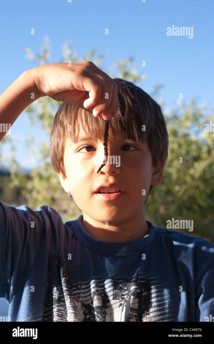 Twelve year old boy holding a large worm outdoors Stock Photo Alamy