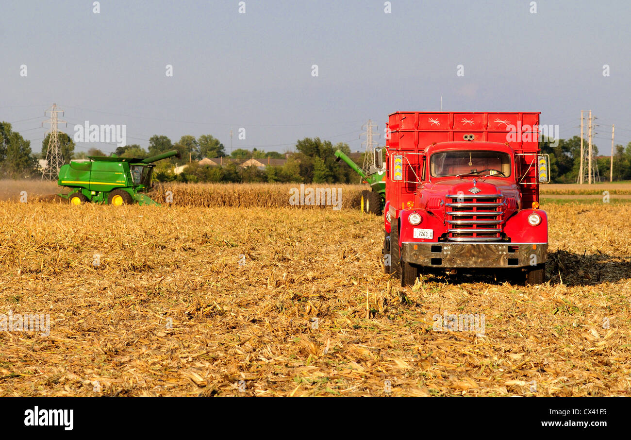 Harvesting corn with a John Deere combine and tractor hauling grain