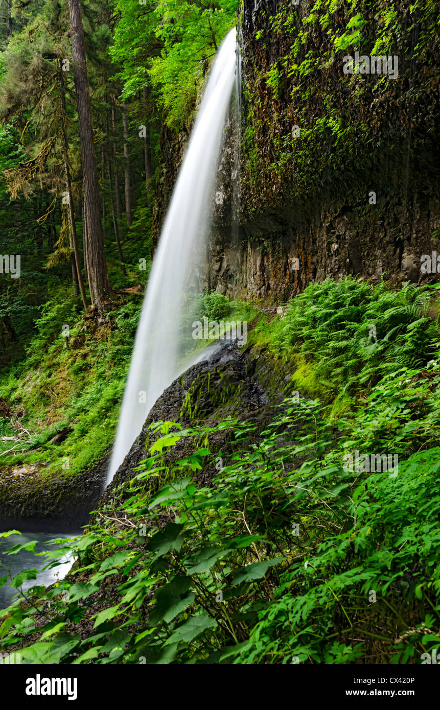 Middle North Falls in the Cascade Mountains, Oregon Stock Photo Alamy