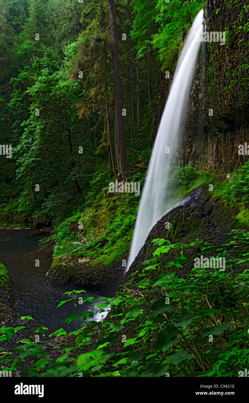 Middle North Falls in the Cascade Mountains, Oregon Stock Photo Alamy
