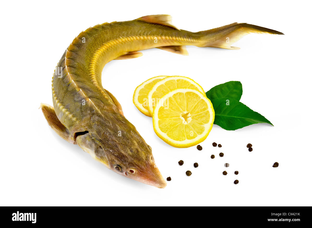 Sturgeon fish with lemon, pepper and lemon leaves two isolated on white ...