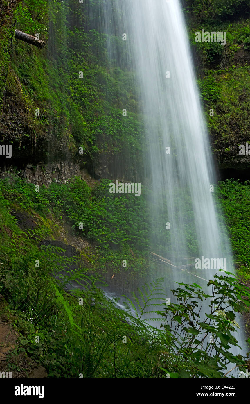 Middle North Falls in the Cascade Mountains, Oregon Stock Photo Alamy