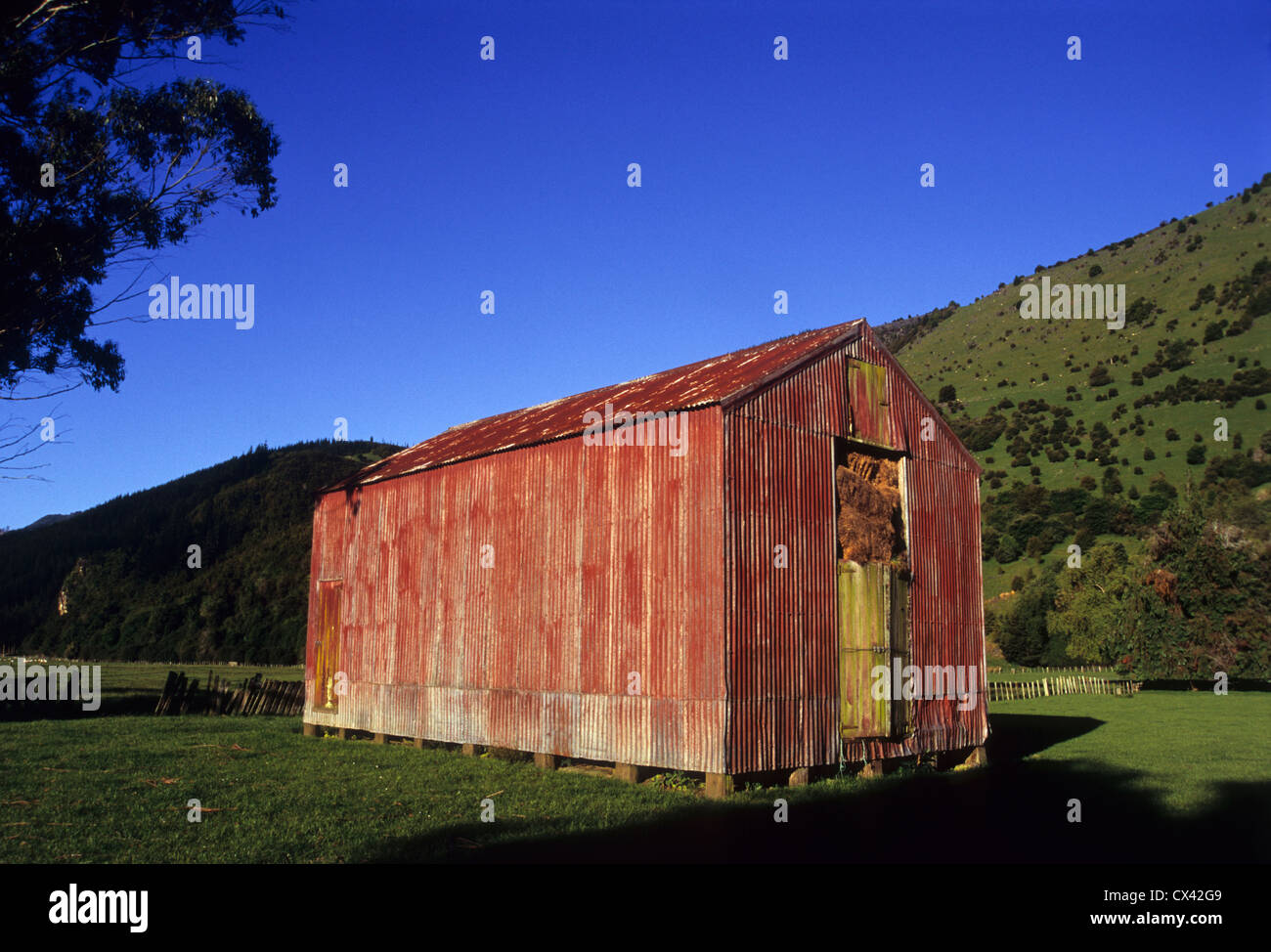 Old Barn South Island New Zealand Stock Photo 50491625 Alamy