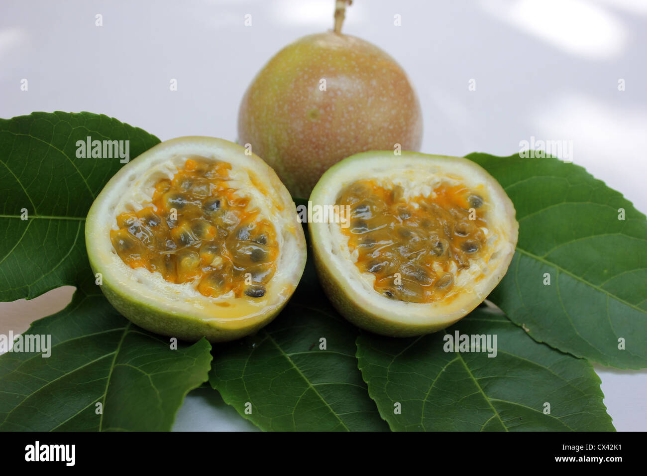 Fruit of passiflora edulis commonly called passion fruit Stock Photo Alamy