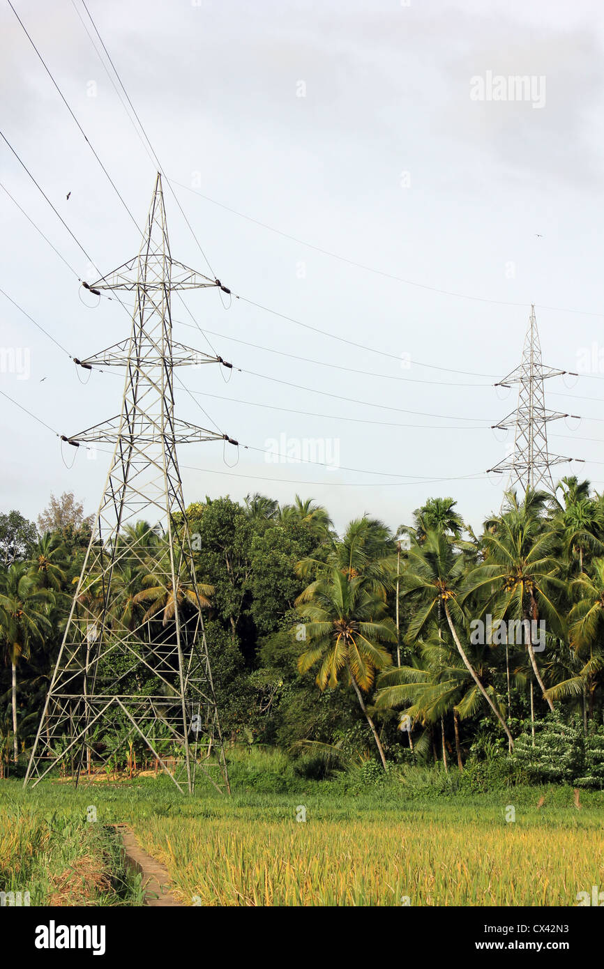 Electric pylon in middle of a rice paddy field Stock Photo - Alamy