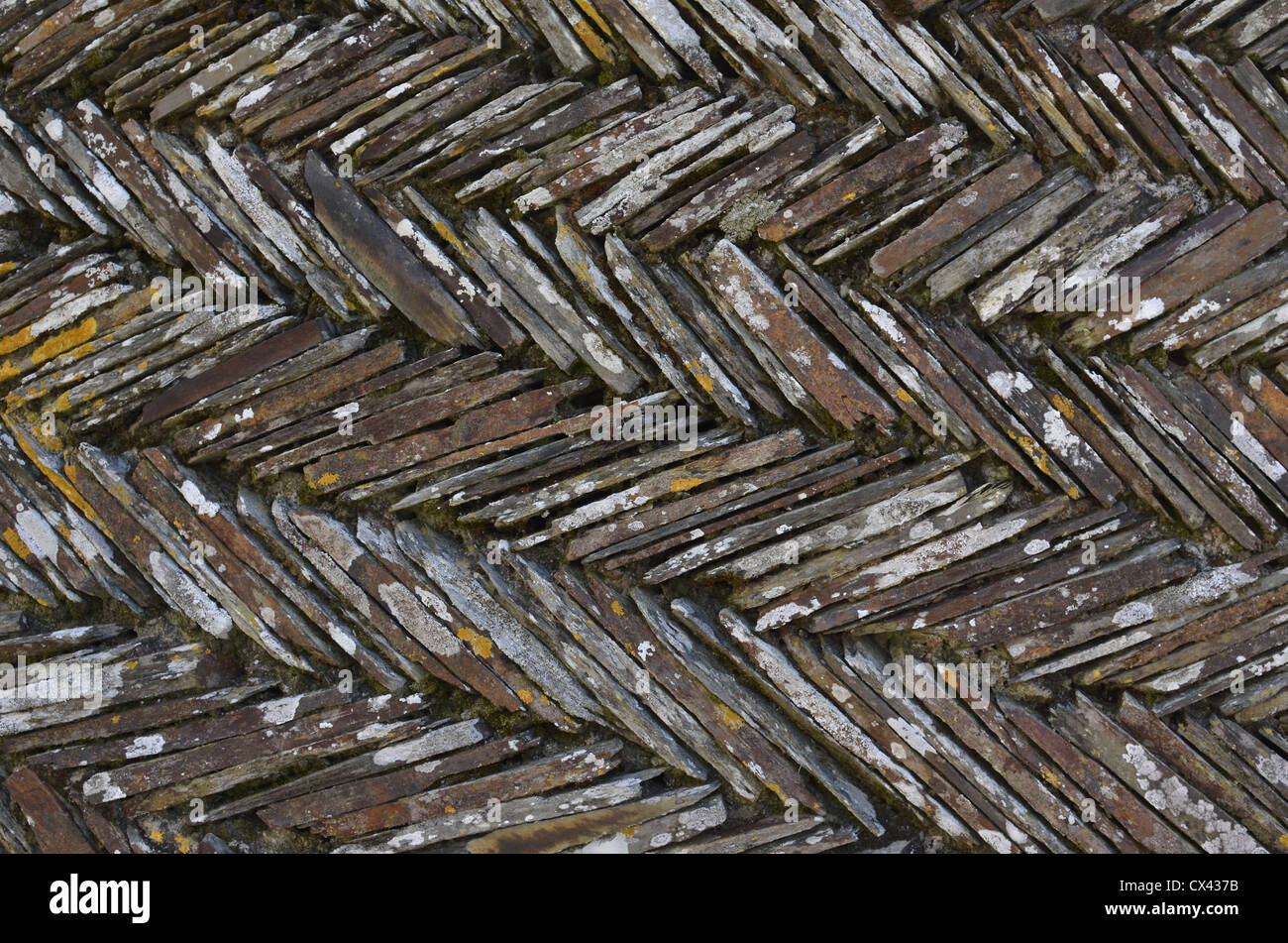 Section of retaining garden wall. Cornwall. Stock Photo