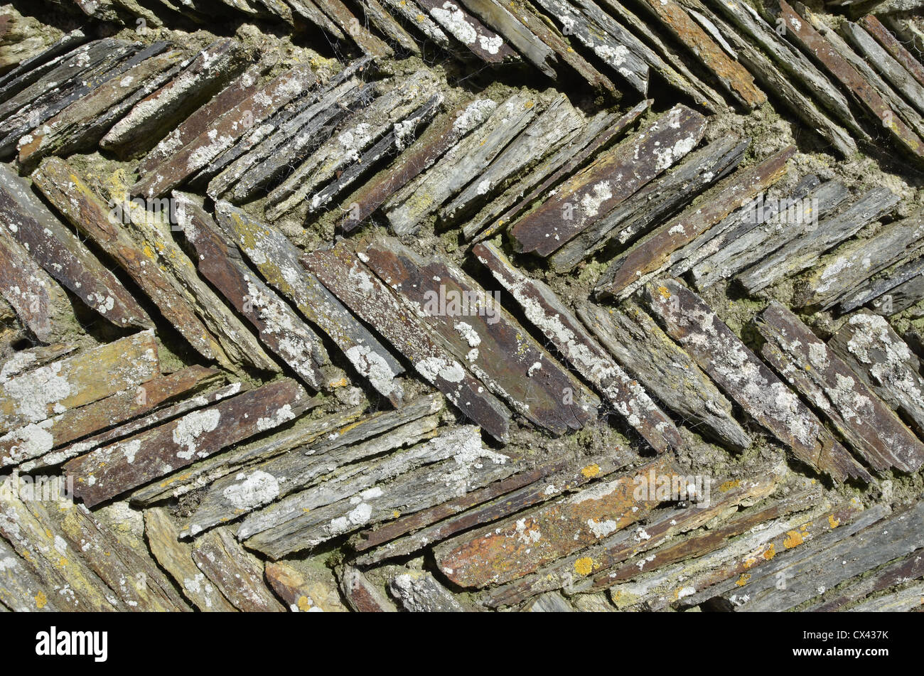 Section of herringbone / zigzag retaining garden wall. Cornwall. Metaphor rigid structure, rigidity, rigid outlook, rigid thinking. Stock Photo
