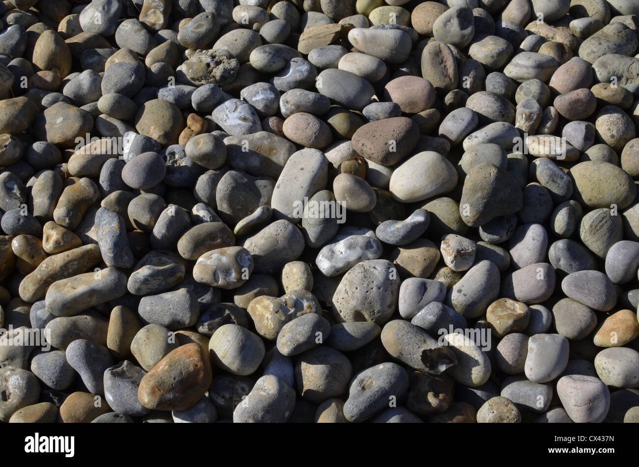 Collection of quite large shingle stones. Concept 'fall on stony ground', warnings ignored. etc. Also, International Rock Day. leave no stone unturned Stock Photo